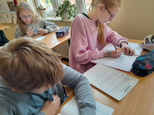 Zajęcia rozwijające z matematyki